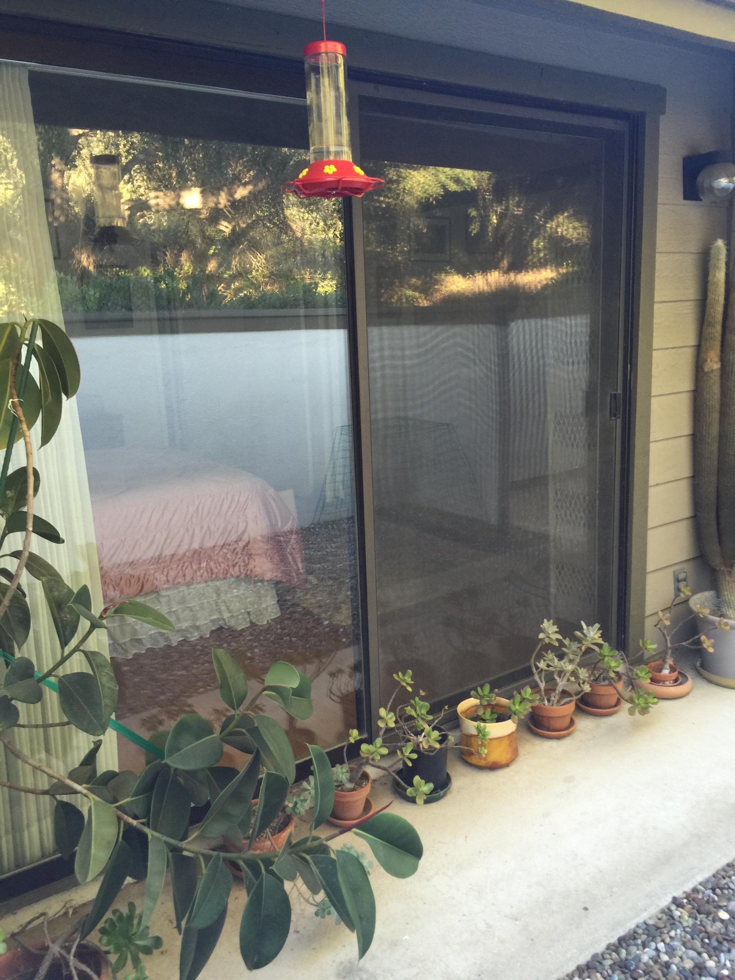 4046 Primavera Road, Unit 3 Santa Barbara, CA 93110 - Photo 8 of 14 Many windows
