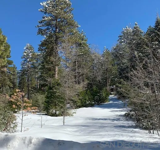 $189,000 | 0 Laurel Trail, Idyllwild, CA 92549