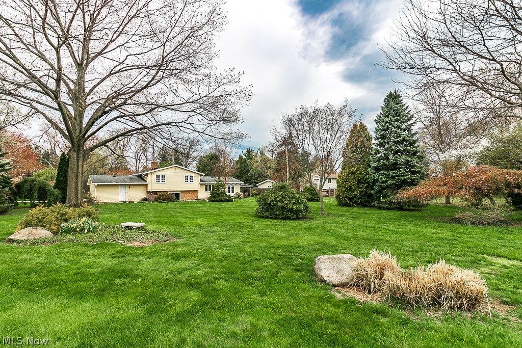 Amazing park like backyard