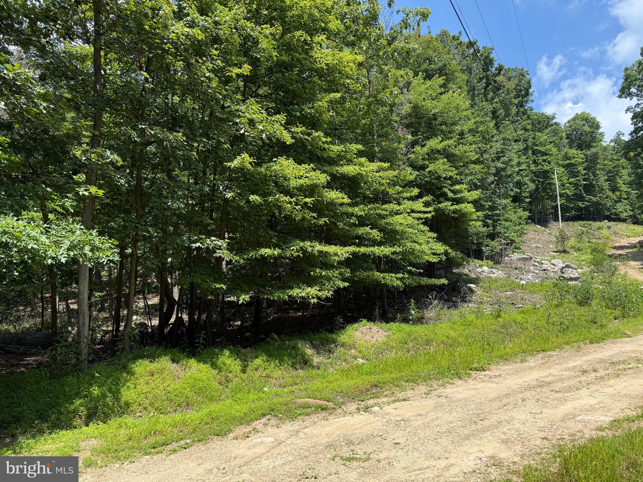 Roberts Road Great Cacapon, WV 25422 - Photo 8 of 9