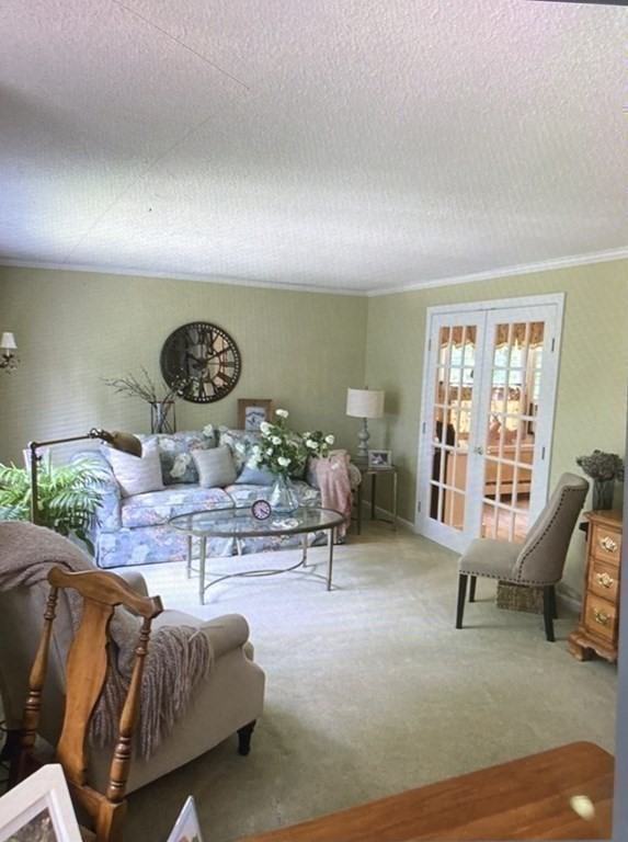 32 Freeman Road Chelmsford, MA 01824 - Photo 20 of 36 a living room with furniture and a large window