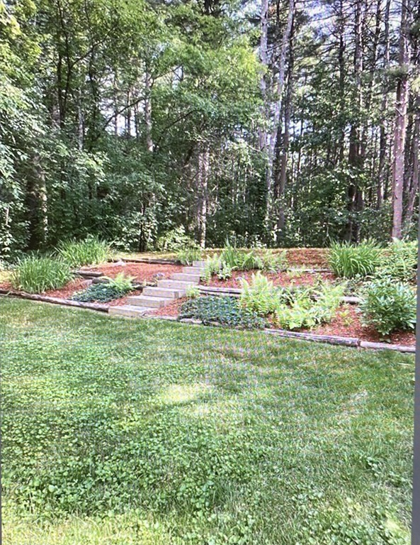 32 Freeman Road Chelmsford, MA 01824 - Photo 36 of 36 a view of a backyard with plants and large trees