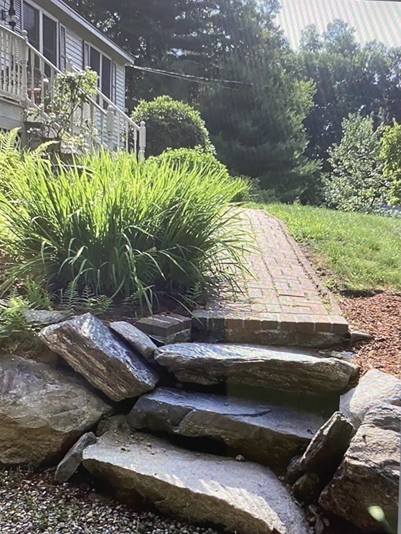 32 Freeman Road Chelmsford, MA 01824 - Photo 4 of 36 a view of a backyard with plants