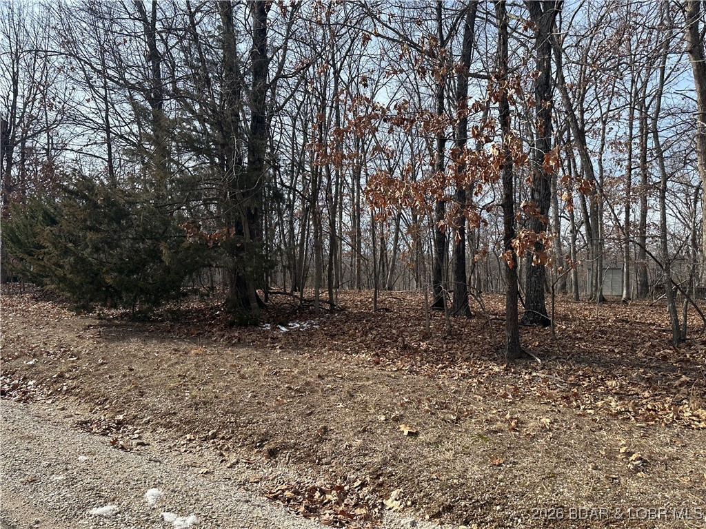 Lot 157 Anemone Road Four Seasons, MO 65049 - Photo 2 of 4 Gallery Image 2