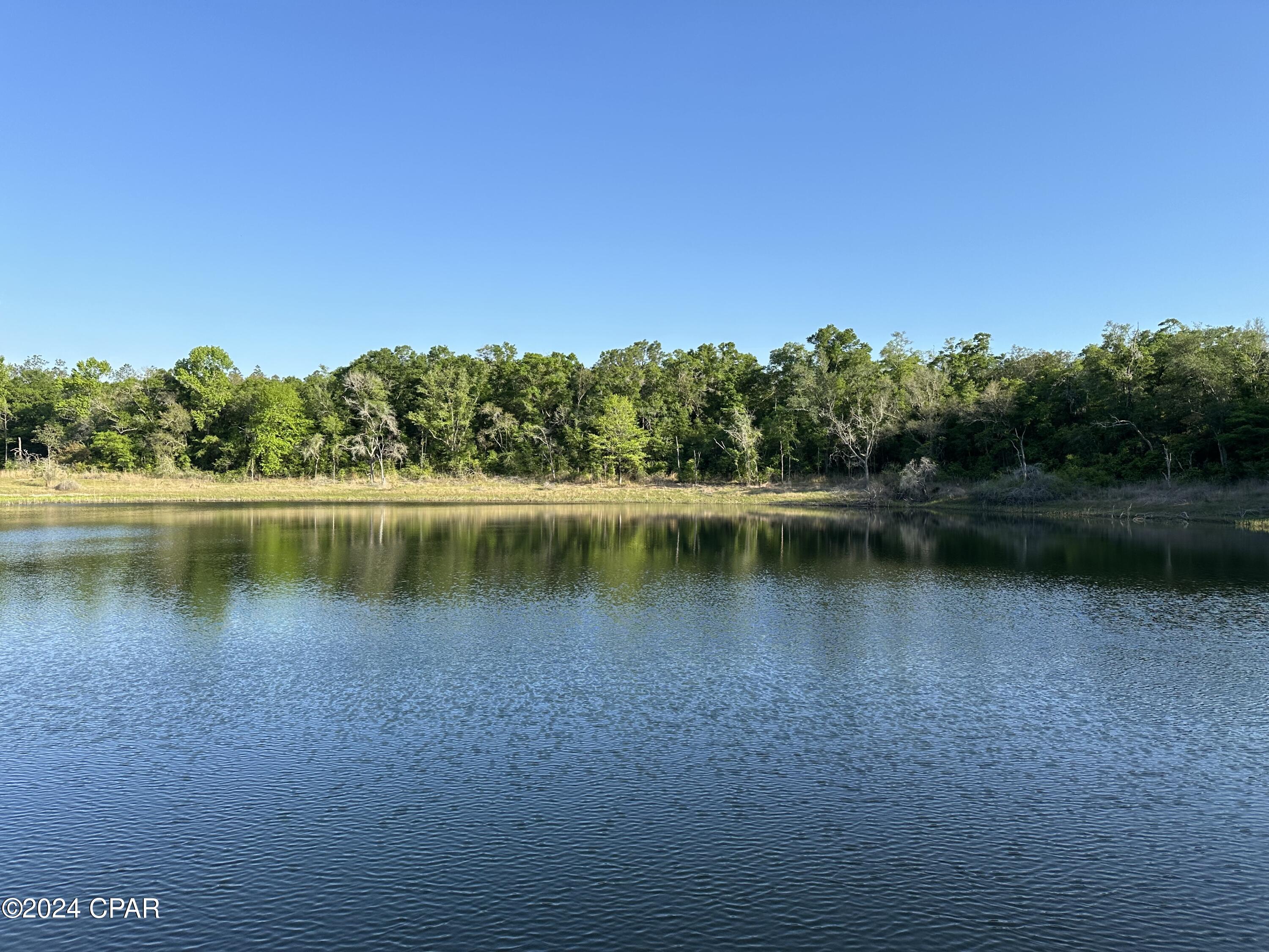 3985 Pine Log Road Chipley, FL 32428 - Photo 11 of 25