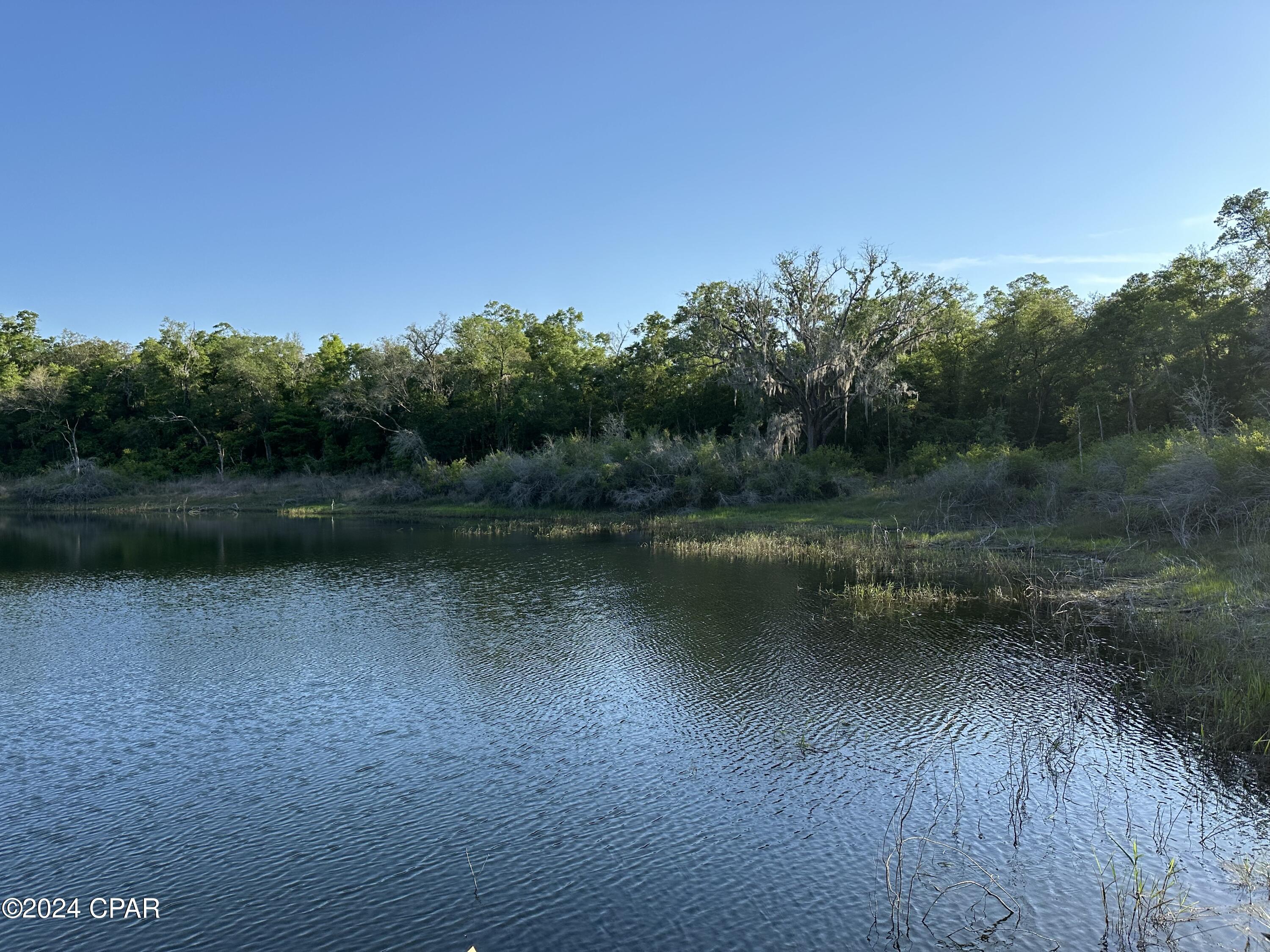 3985 Pine Log Road Chipley, FL 32428 - Photo 12 of 25