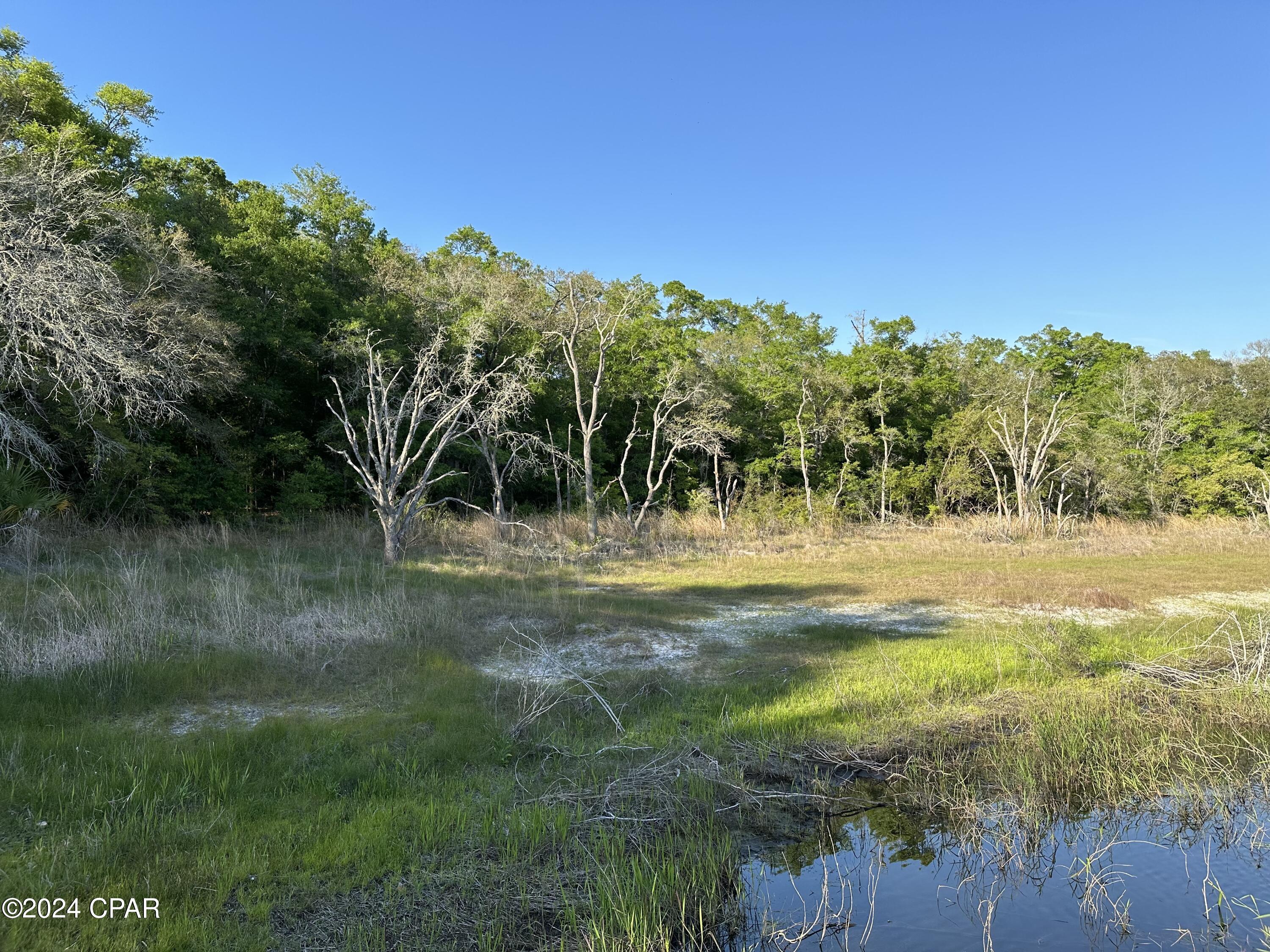 3985 Pine Log Road Chipley, FL 32428 - Photo 13 of 25