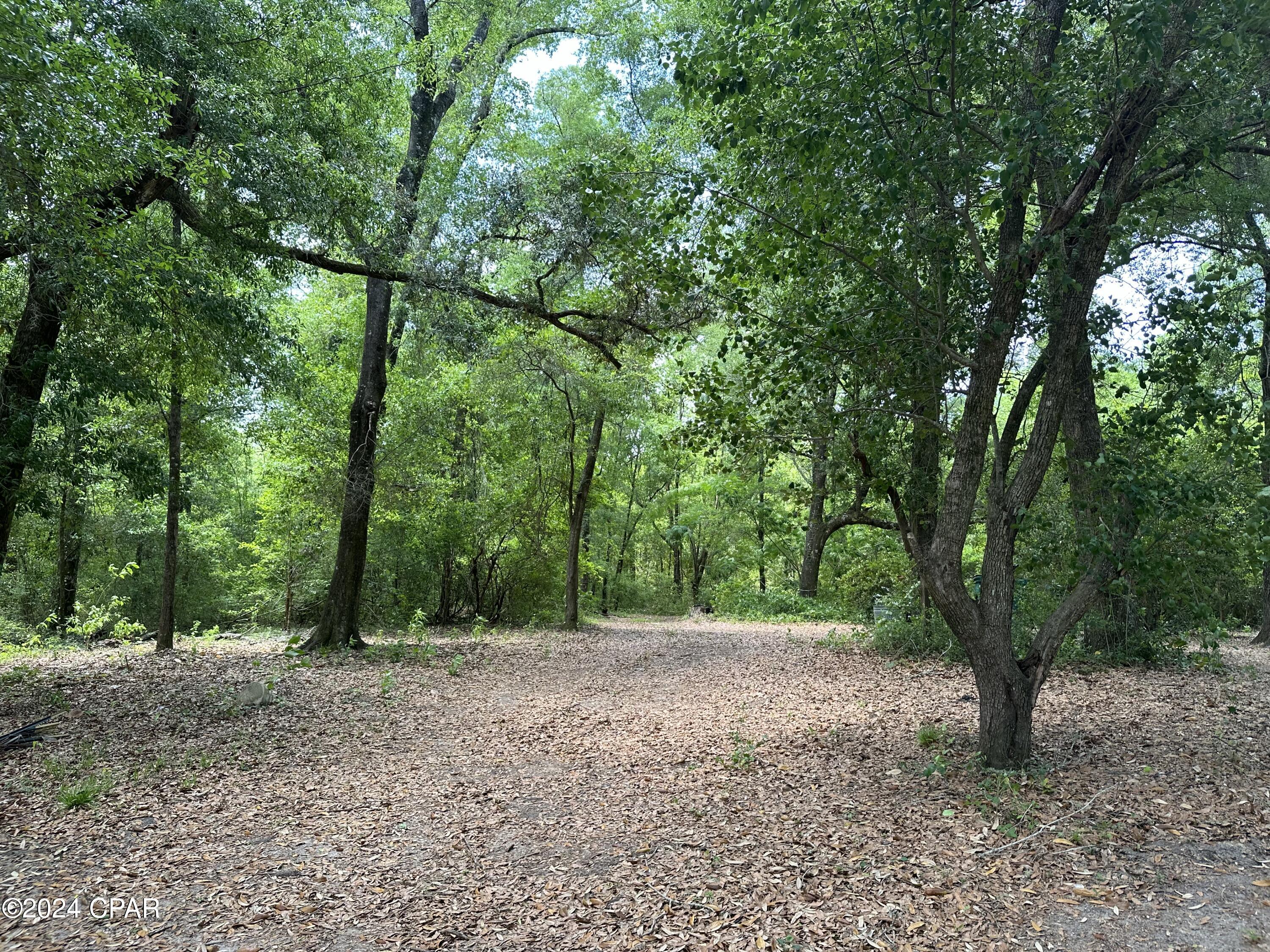 3985 Pine Log Road Chipley, FL 32428 - Photo 21 of 25