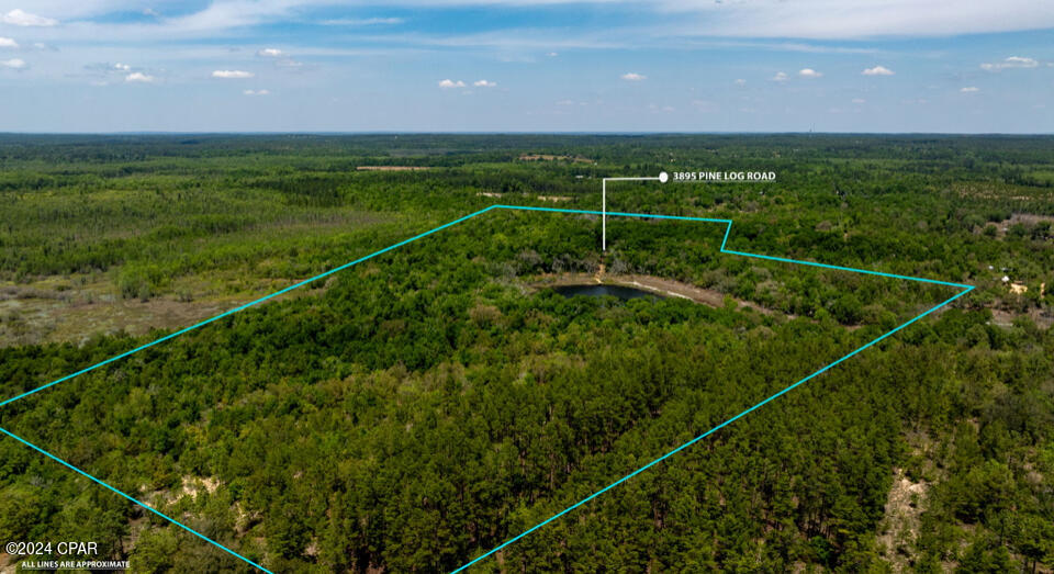 3985 Pine Log Road Chipley, FL 32428 - Photo 22 of 25