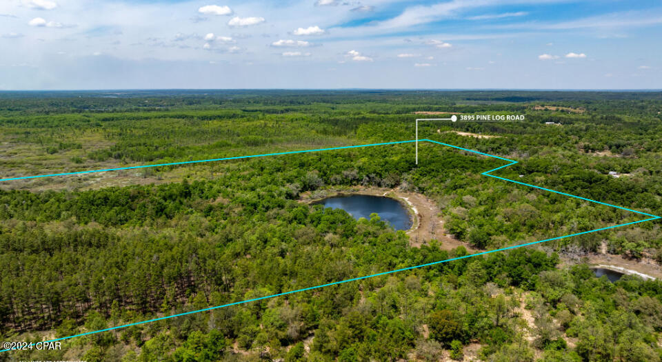 3985 Pine Log Road Chipley, FL 32428 - Photo 23 of 25