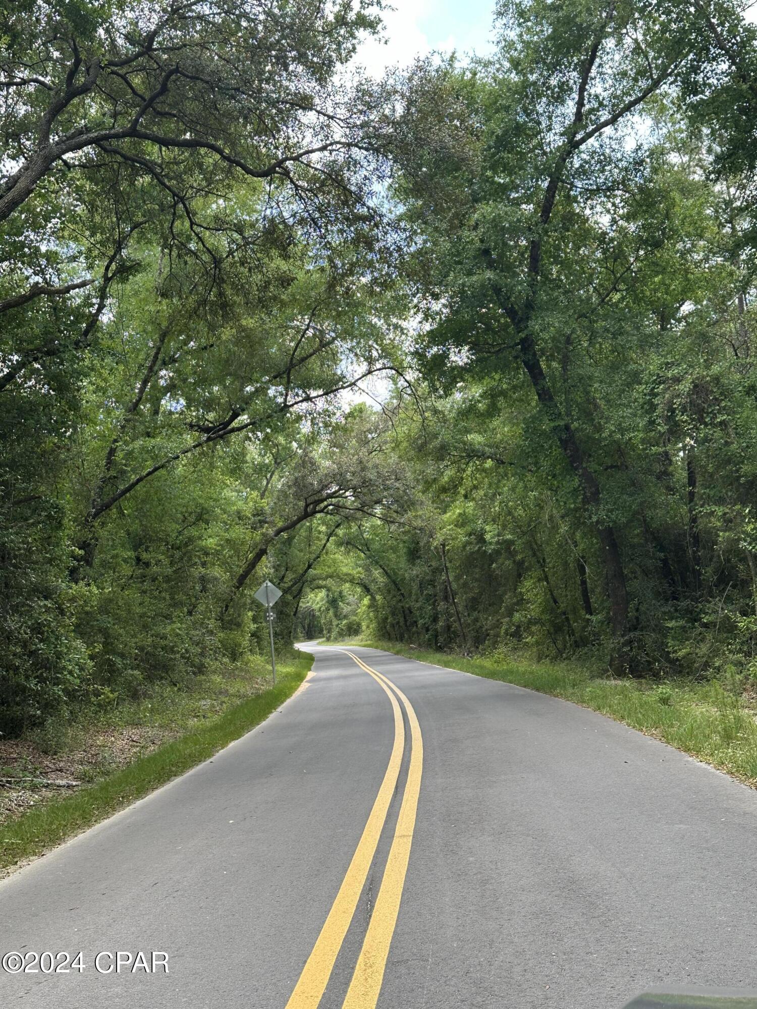 3985 Pine Log Road Chipley, FL 32428 - Photo 3 of 25