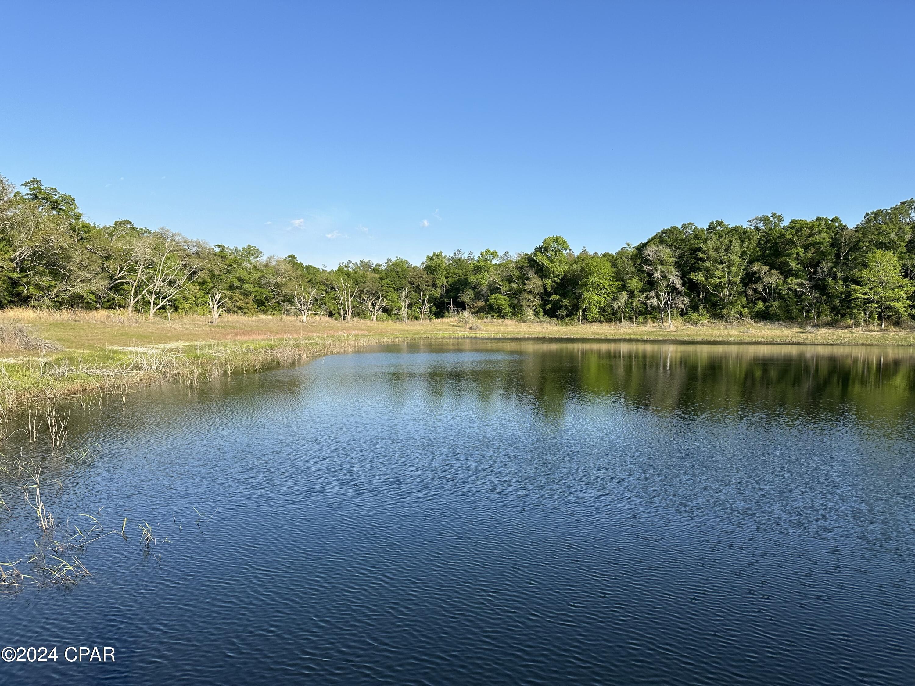 3985 Pine Log Road Chipley, FL 32428 - Photo 8 of 25