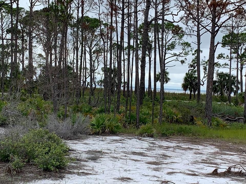 20 Park Point Circle Port St. Joe, FL 32456 - Photo 14 of 18