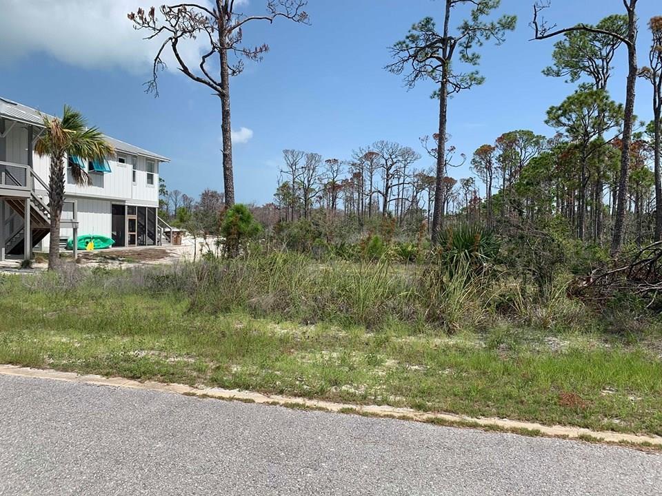 20 Park Point Circle Port St. Joe, FL 32456 - Photo 3 of 18