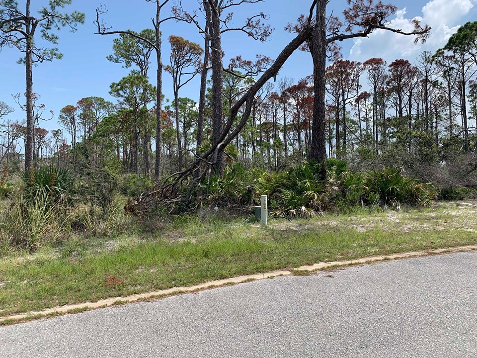 20 Park Point Circle Port St. Joe, FL 32456 - Photo 4 of 18