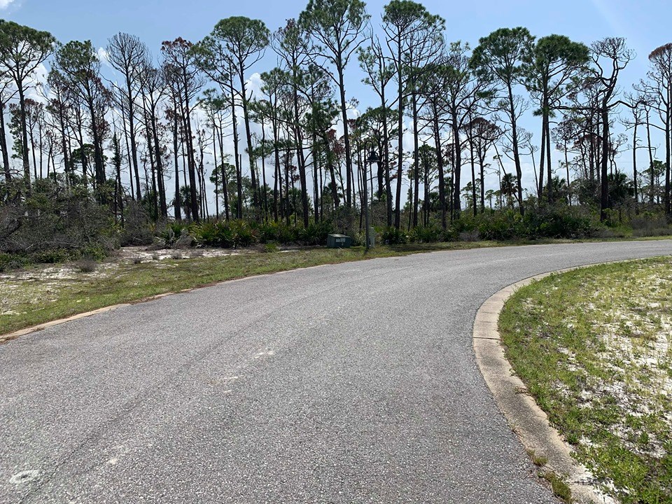 20 Park Point Circle Port St. Joe, FL 32456 - Photo 5 of 18