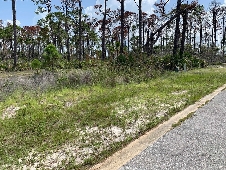 20 Park Point Circle Port St. Joe, FL 32456 - Photo 6 of 18