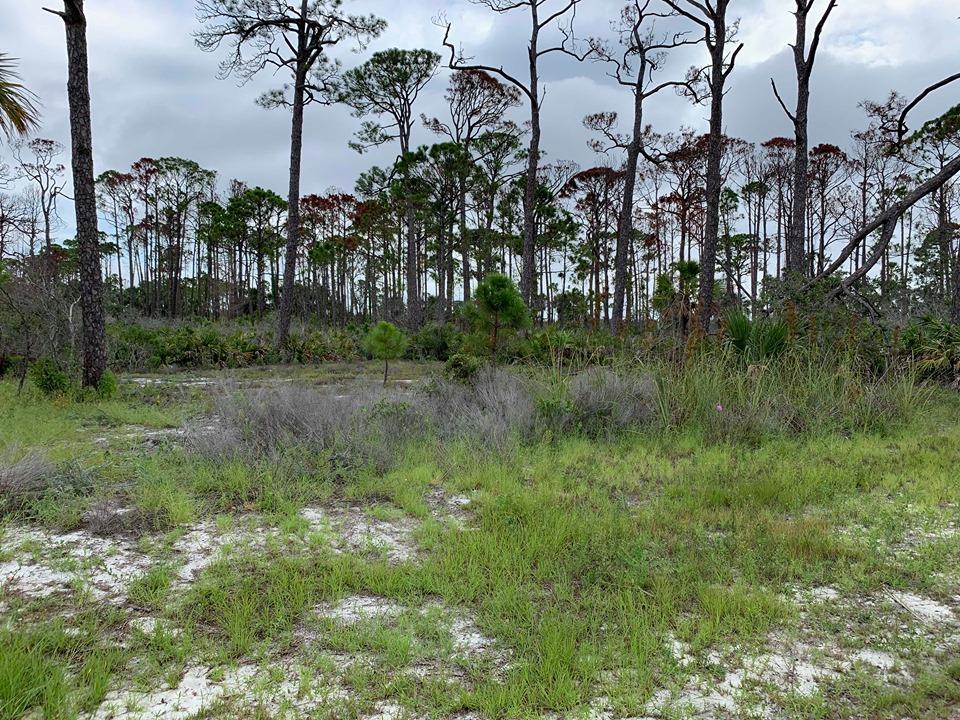 20 Park Point Circle Port St. Joe, FL 32456 - Photo 7 of 18