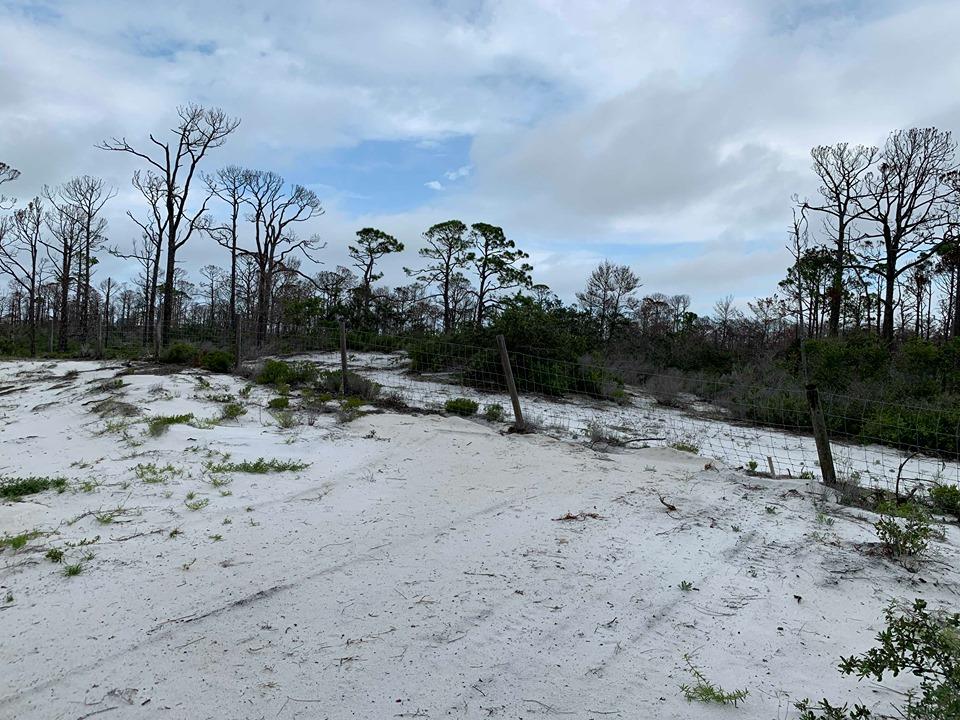 20 Park Point Circle Port St. Joe, FL 32456 - Photo 8 of 18