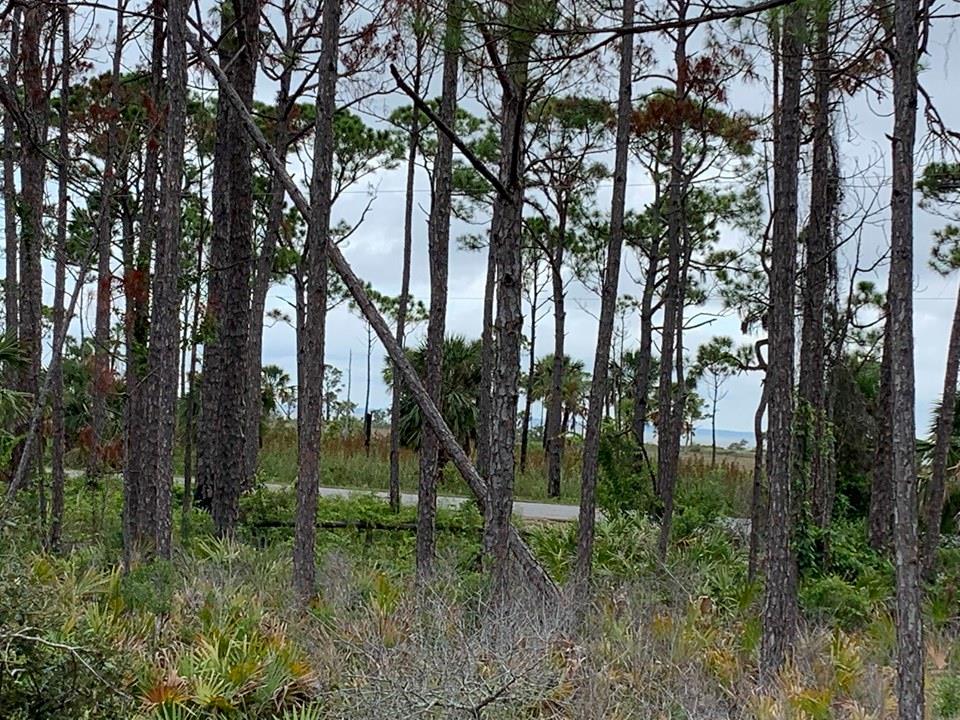 20 Park Point Circle Port St. Joe, FL 32456 - Photo 9 of 18