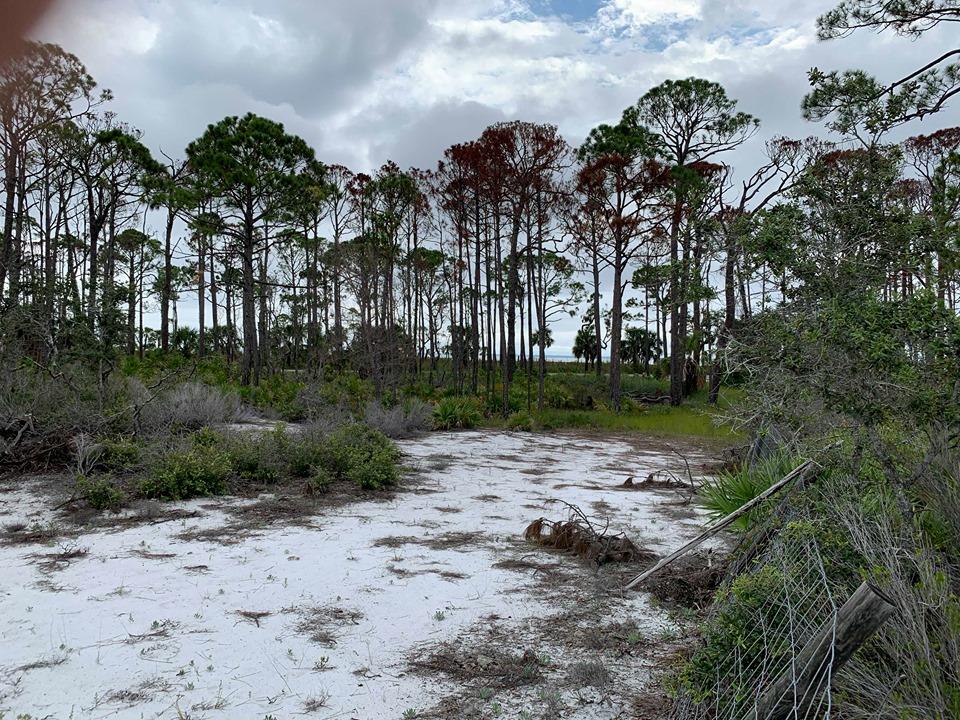 20 Park Point Circle Port St. Joe, FL 32456 - Photo 10 of 18
