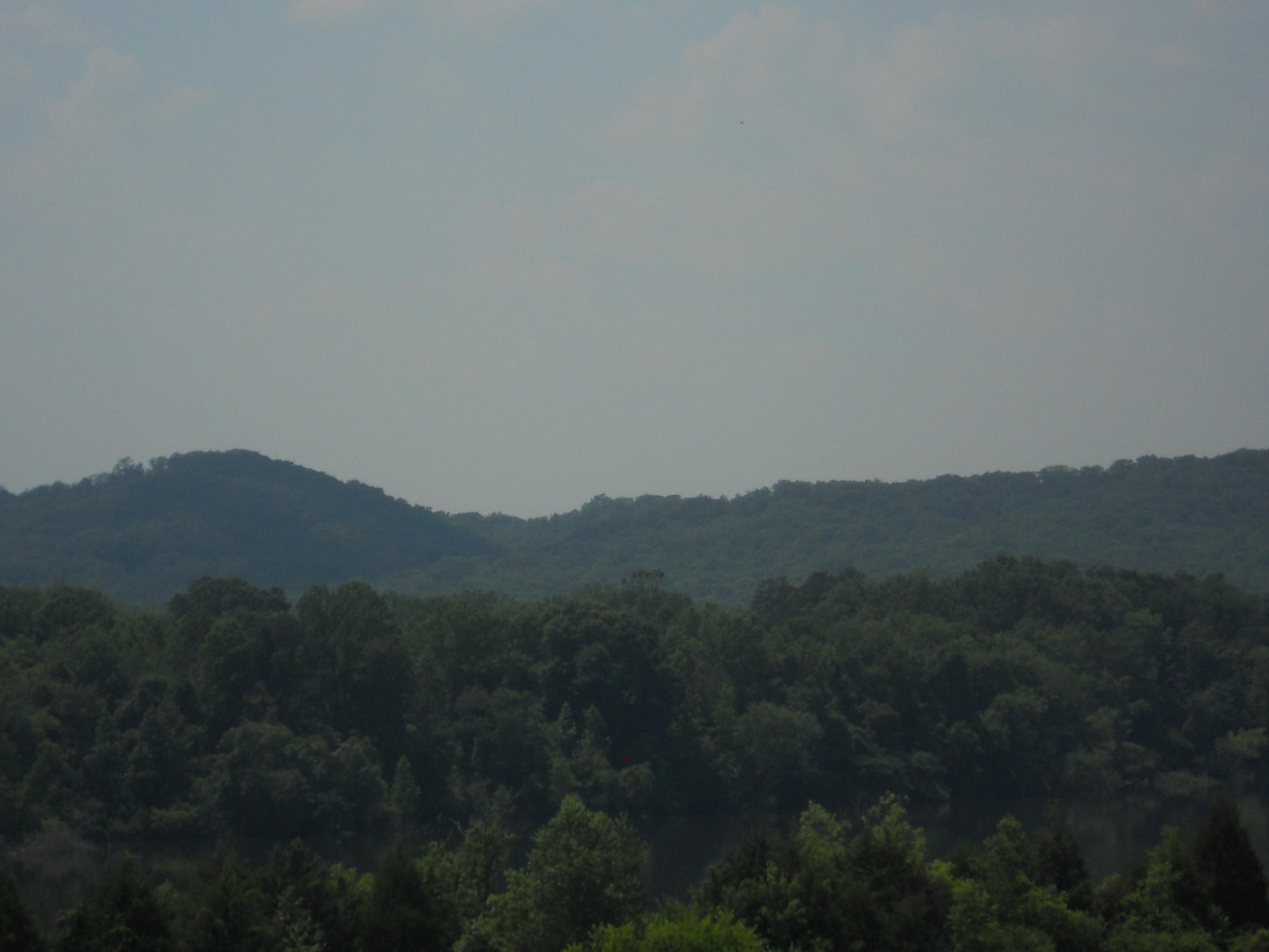 48 Espalier Drive, Unit 48 Decatur, TN 37322 - Photo 6 of 14 Great Views