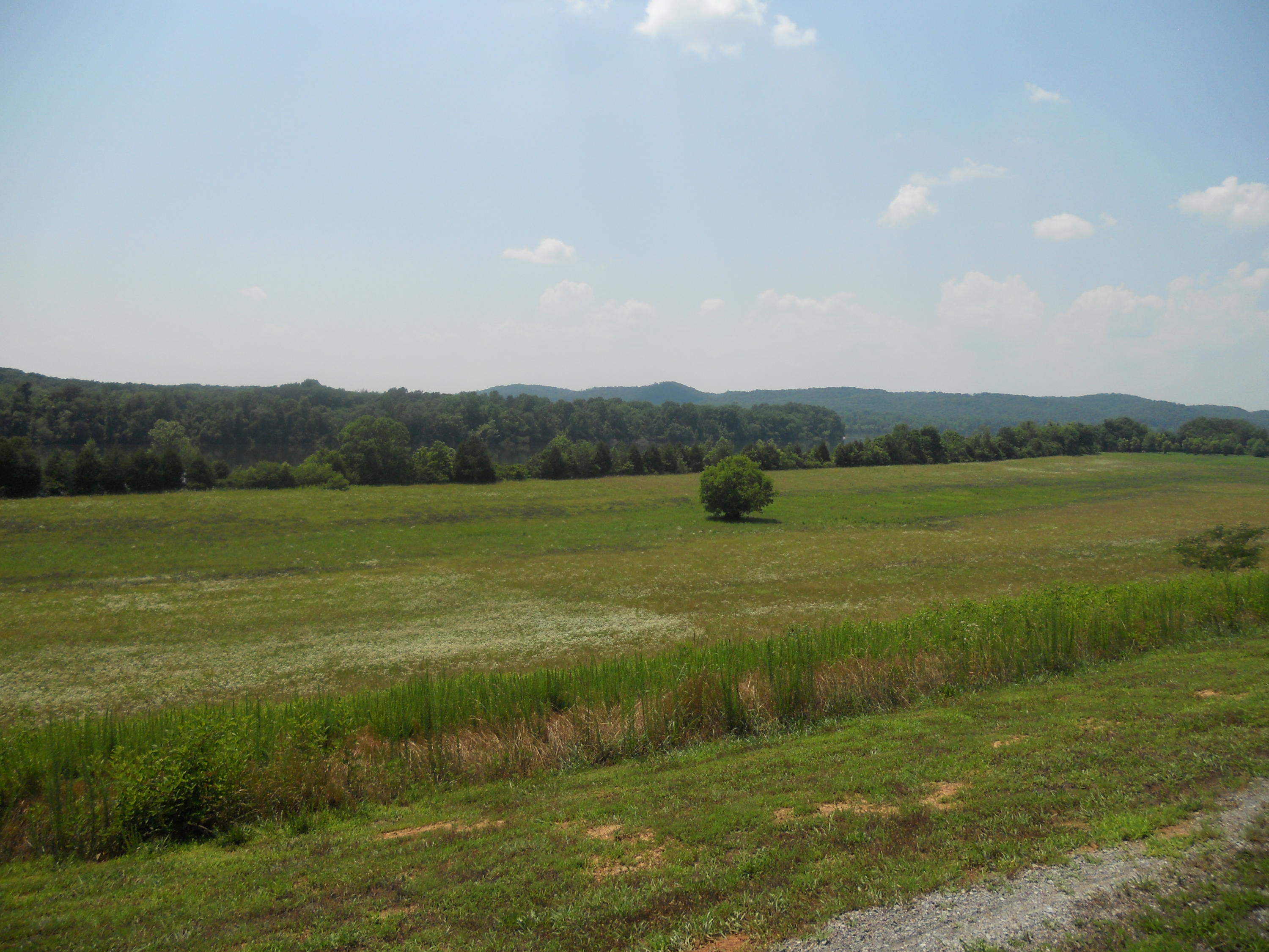 48 Espalier Drive, Unit 48 Decatur, TN 37322 - Photo 7 of 14 Level Acreage