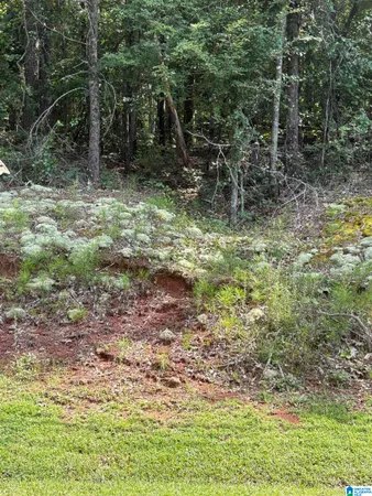 $10,000 | 2242 Westwood Drive, Unit 11, Alexandria, AL 36250