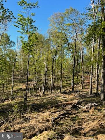 Magnolia Road Paw Paw, WV 25434 - Photo 3 of 4 Gallery Image 3