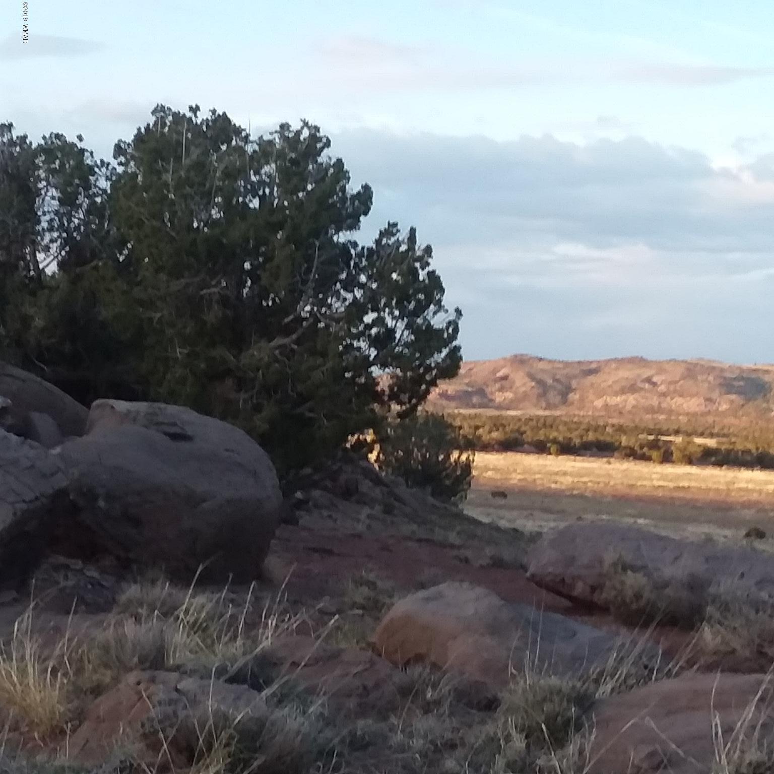 Lot 62 Pinon Valley Ranch, Unit 22 Concho, AZ 85924 - Photo 1 of 11