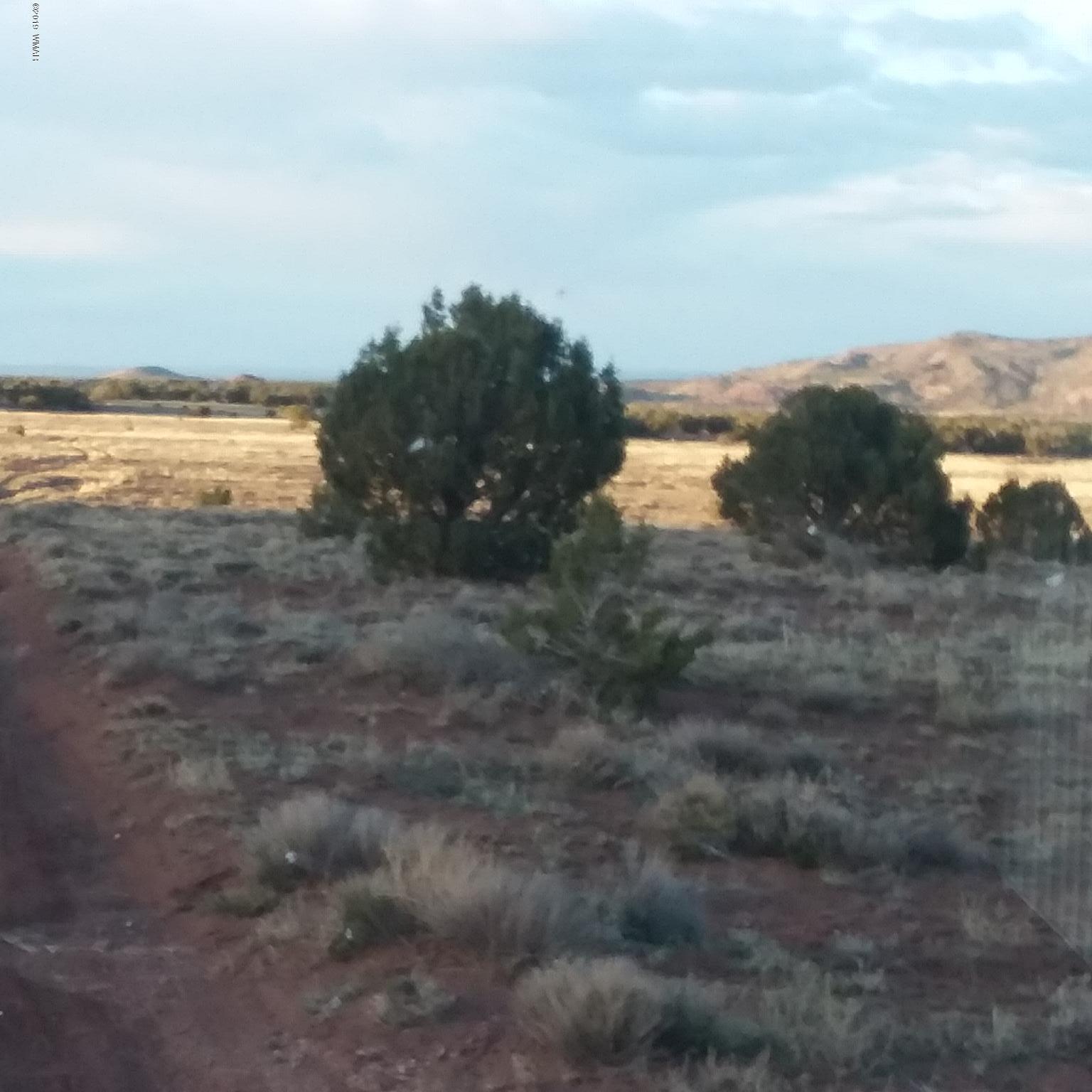 Lot 62 Pinon Valley Ranch, Unit 22 Concho, AZ 85924 - Photo 2 of 11