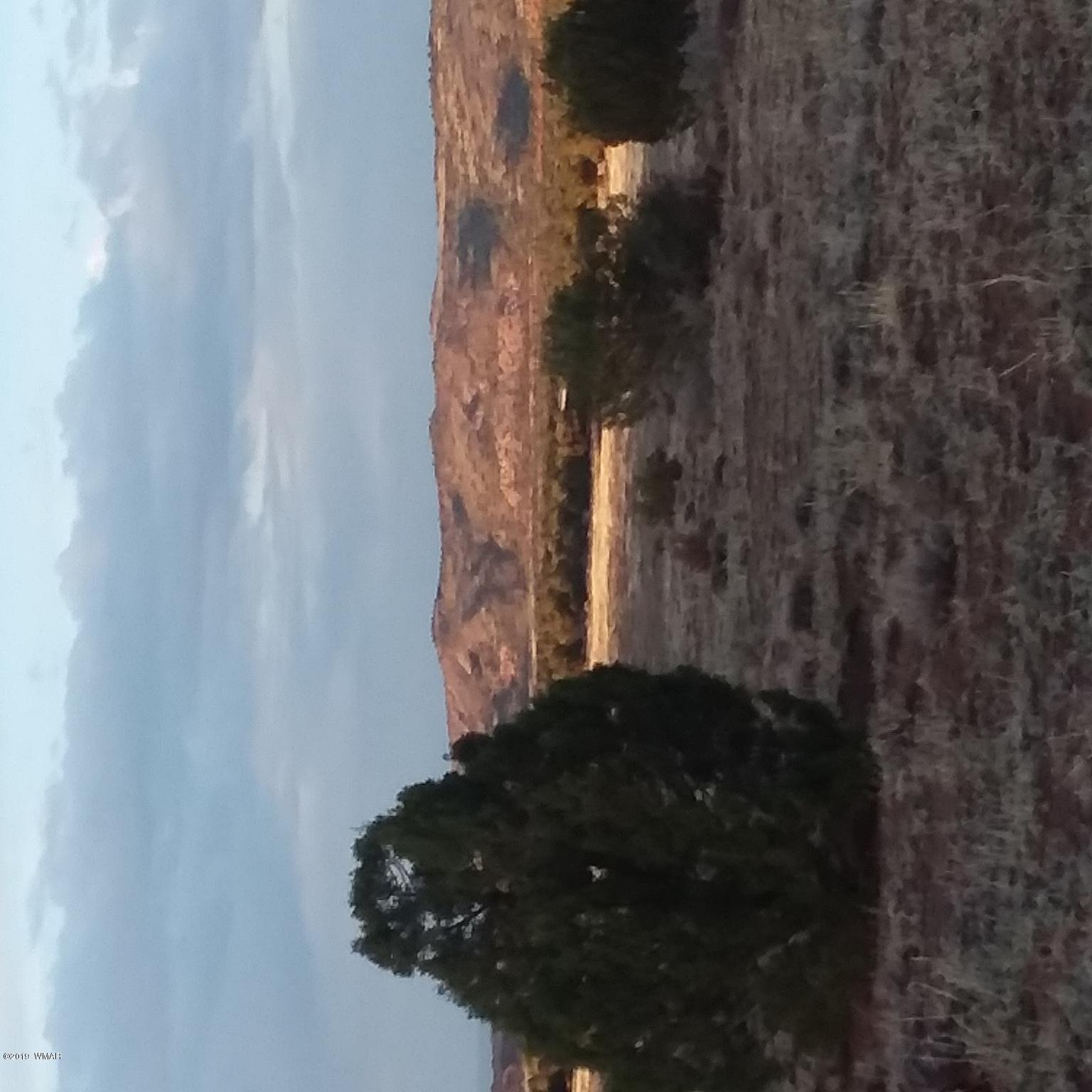 Lot 62 Pinon Valley Ranch, Unit 22 Concho, AZ 85924 - Photo 3 of 11