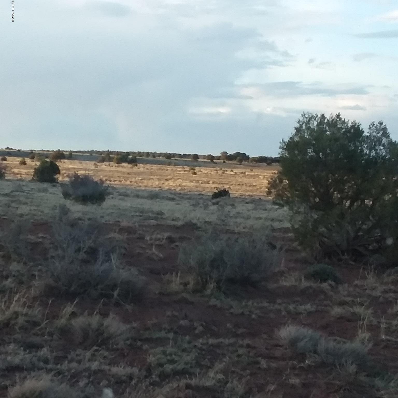 Lot 62 Pinon Valley Ranch, Unit 22 Concho, AZ 85924 - Photo 4 of 11