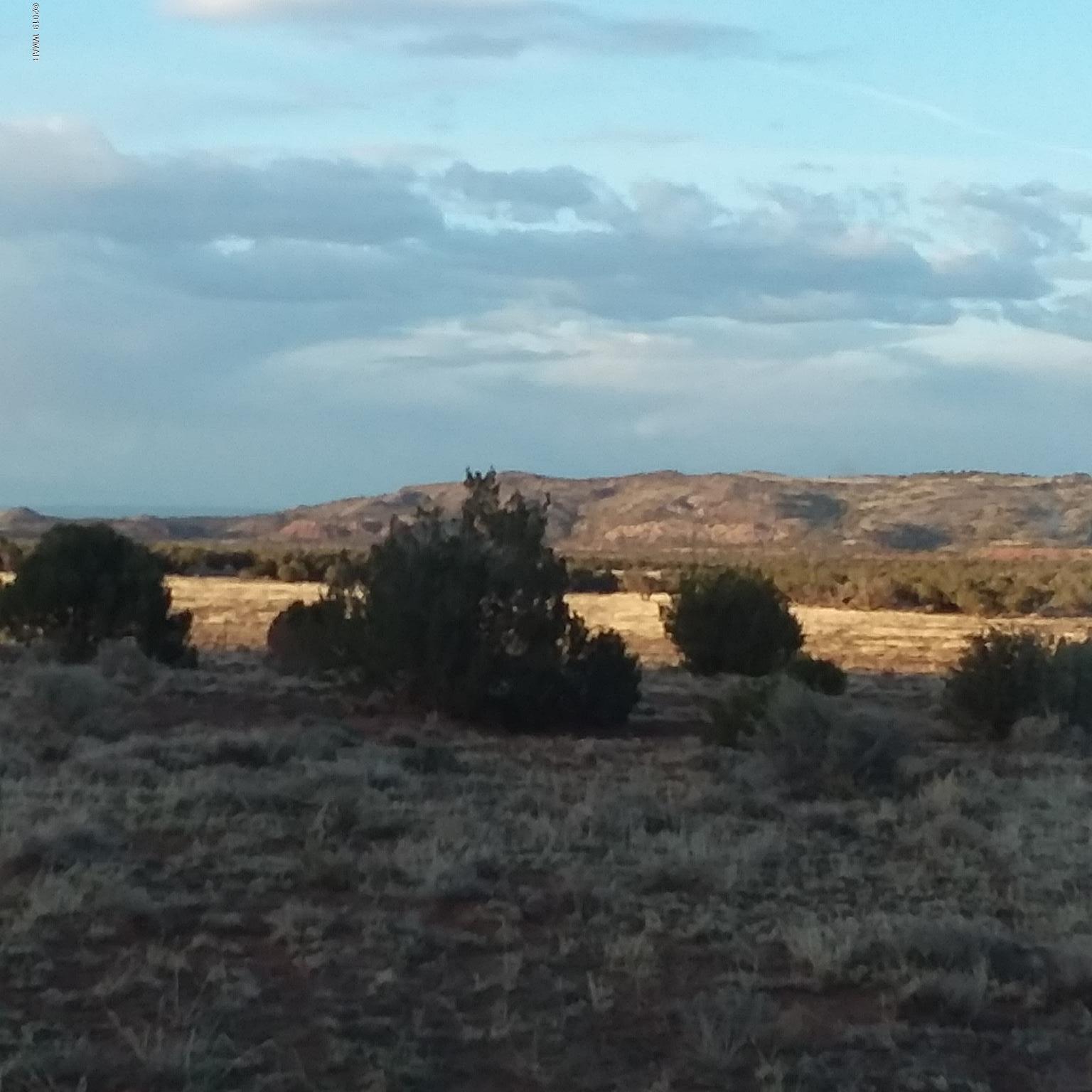 Lot 62 Pinon Valley Ranch, Unit 22 Concho, AZ 85924 - Photo 5 of 11