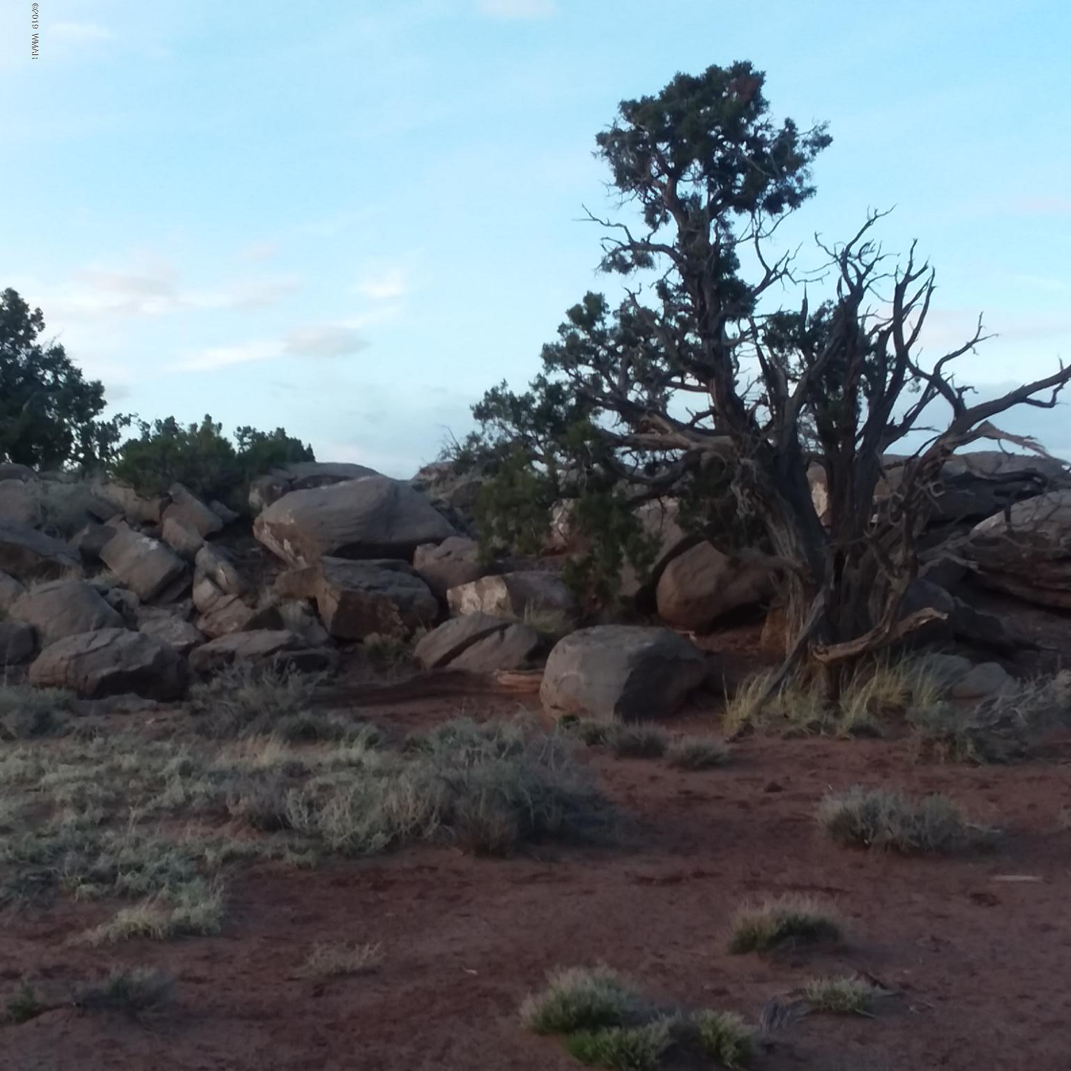 Lot 62 Pinon Valley Ranch, Unit 22 Concho, AZ 85924 - Photo 6 of 11