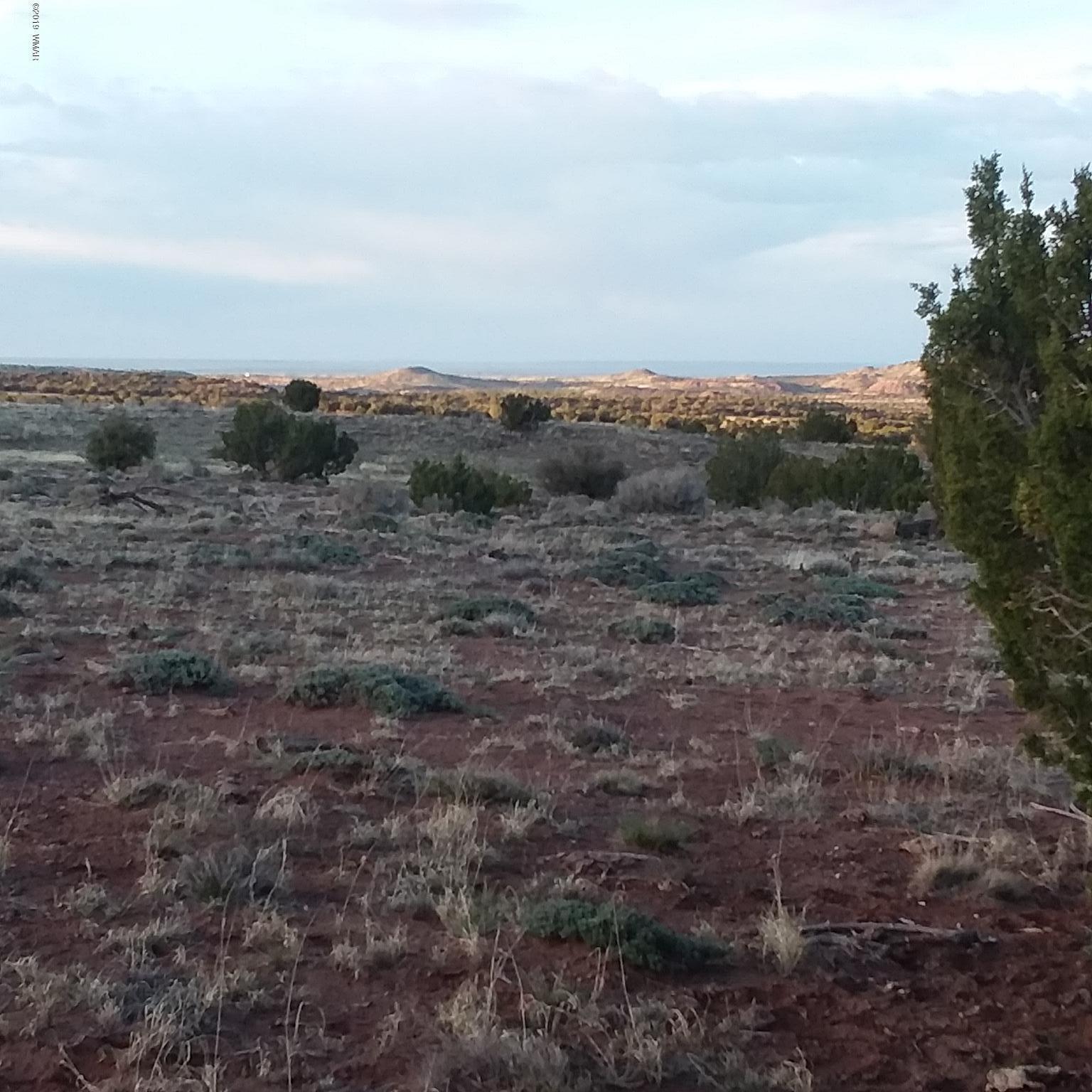 Lot 62 Pinon Valley Ranch, Unit 22 Concho, AZ 85924 - Photo 7 of 11