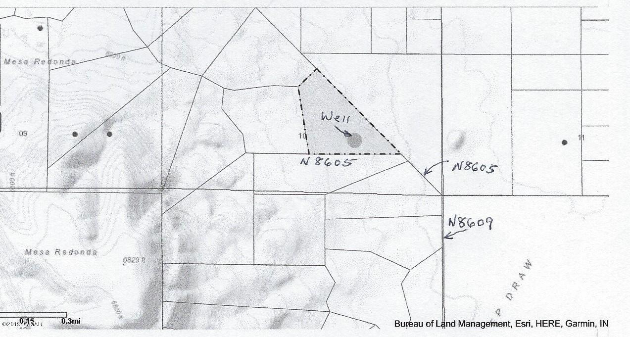 Lot 62 Pinon Valley Ranch, Unit 22 Concho, AZ 85924 - Photo 9 of 11