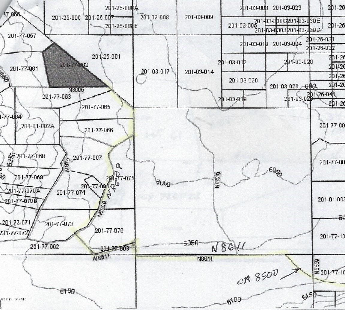 Lot 62 Pinon Valley Ranch, Unit 22 Concho, AZ 85924 - Photo 10 of 11