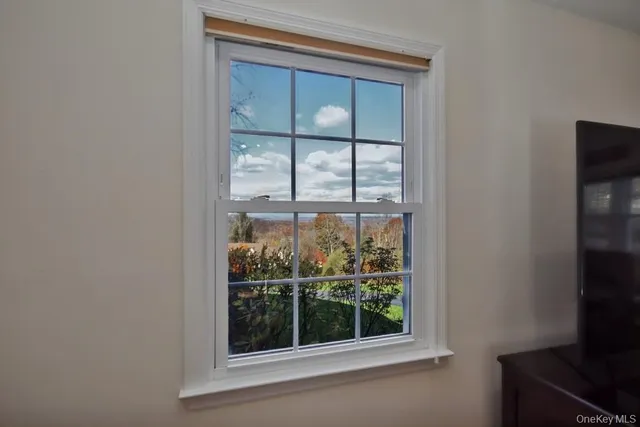 a view of a potted plant in front of a door