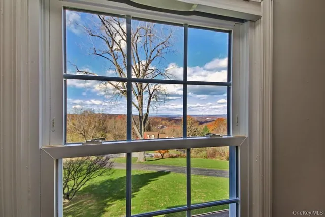 a view of trees and outside from window