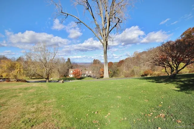a view of a field with an trees in front of it