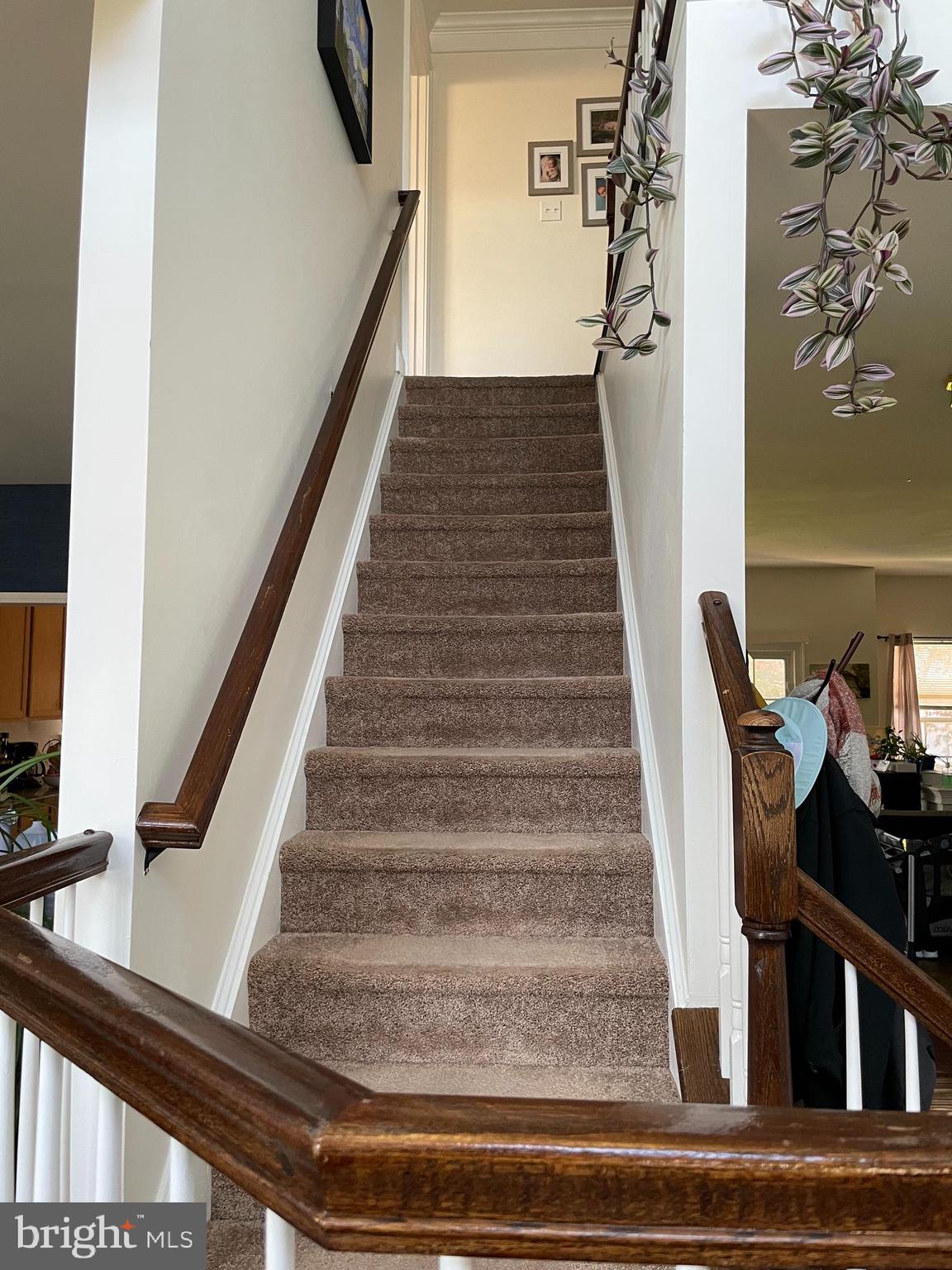 8 Hemlock Lane Sicklerville, NJ 08081 - Photo 16 of 35