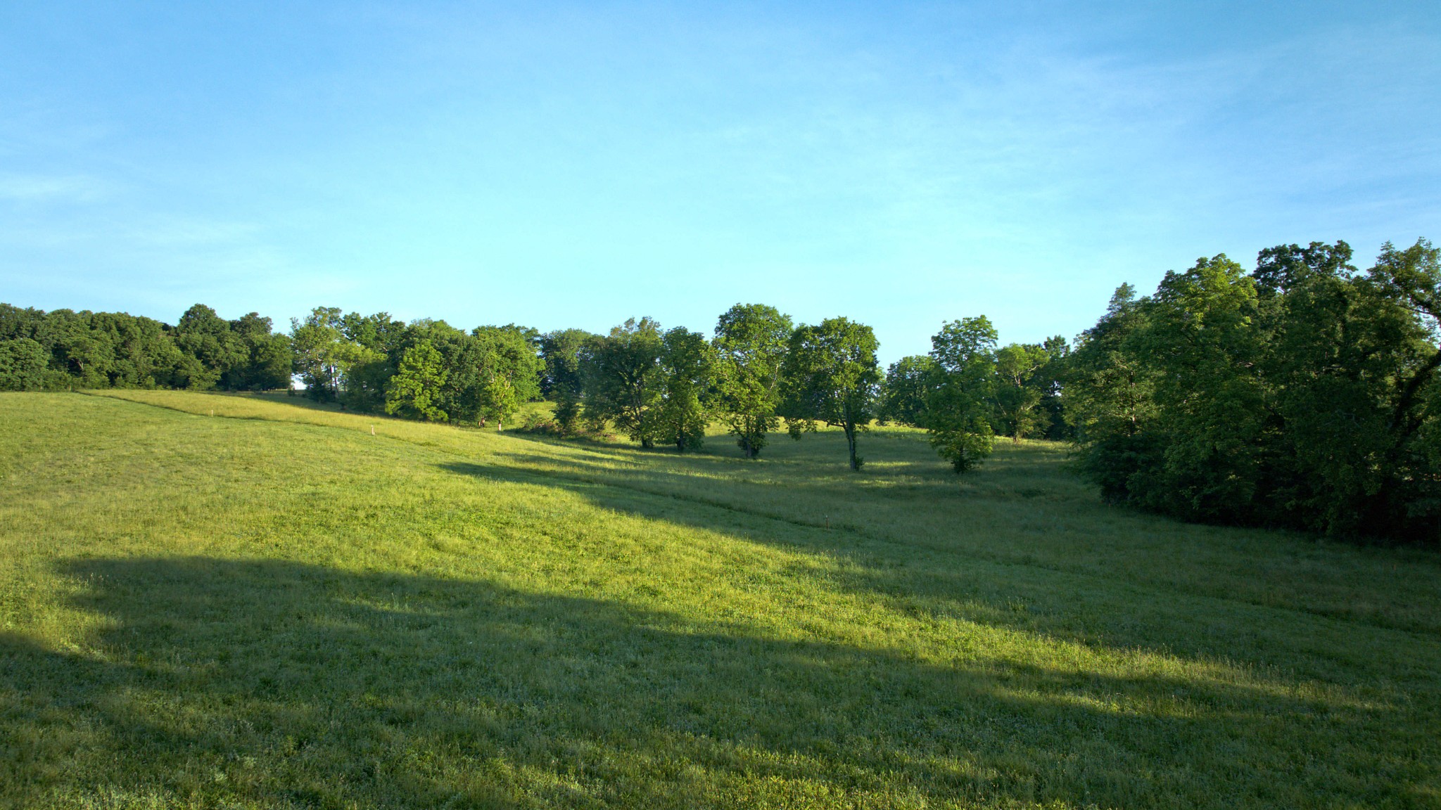 0 Burnt House Road Lebanon, TN 37090 - Photo 7 of 12 a view of a golf course with a lake