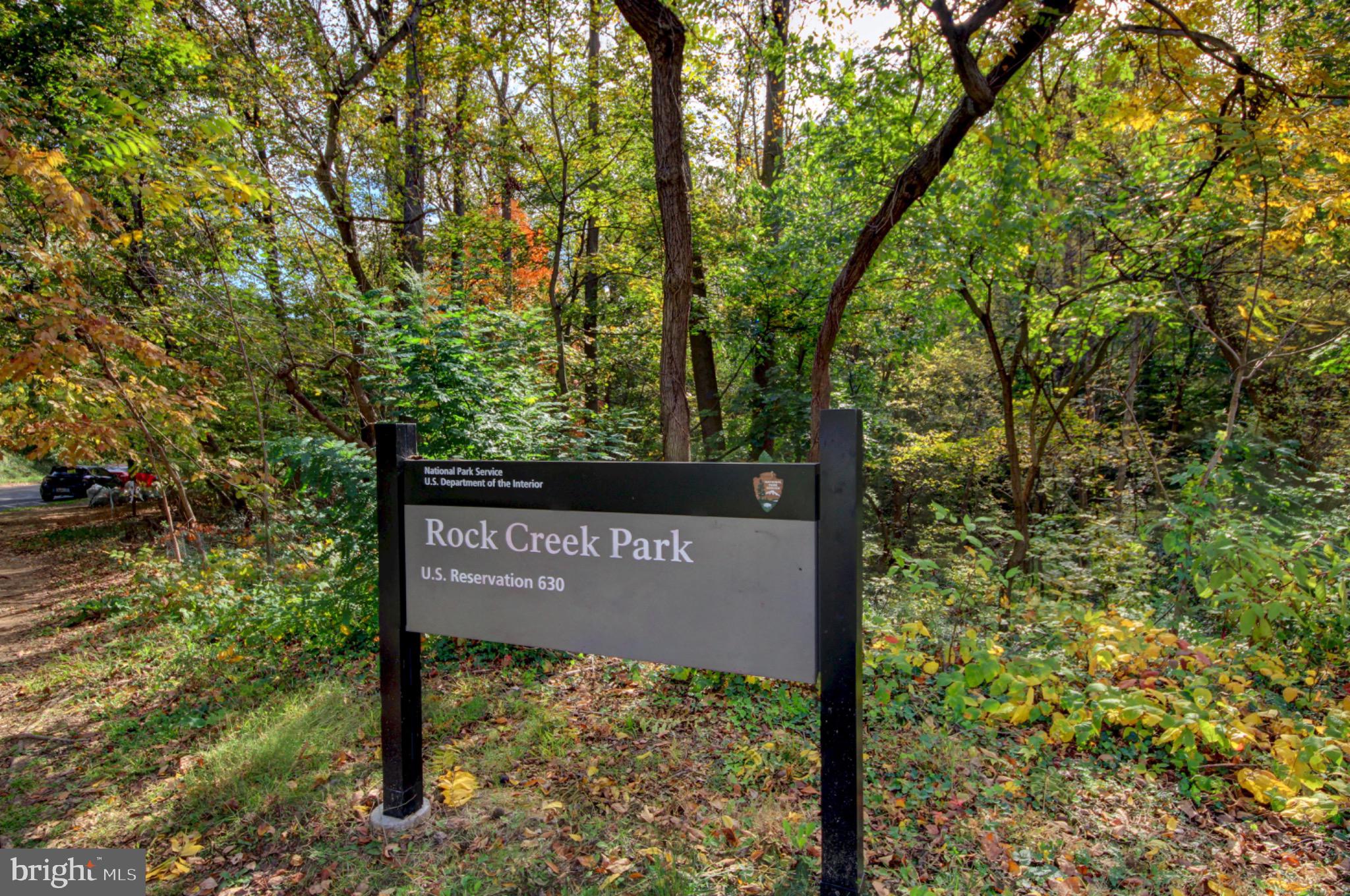 3000 Tilden Street Northwest, Unit 501I Washington, DC 20008 - Photo 41 of 48 a view of a tree