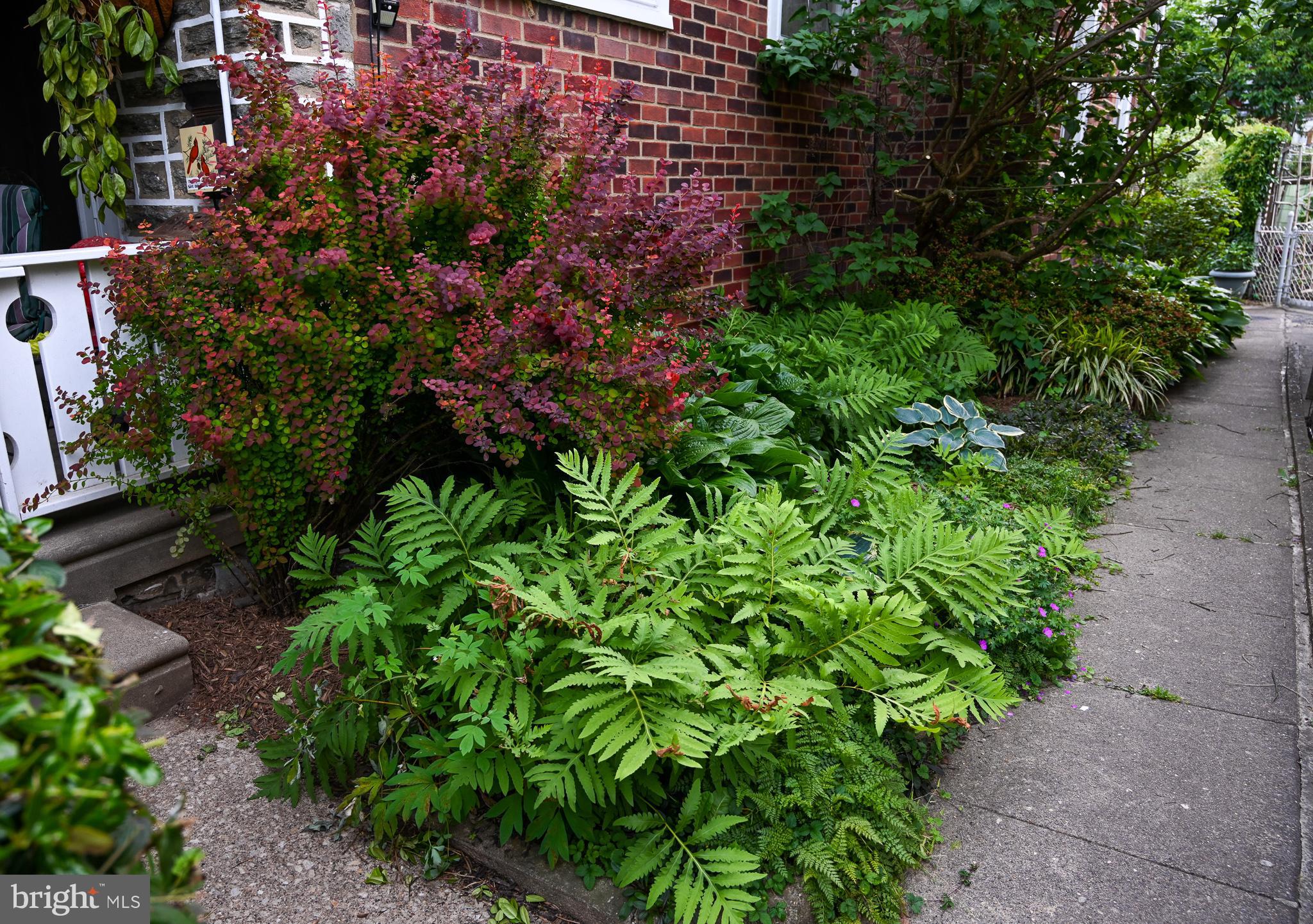 152 Glencoe Road Upper Darby, PA 19082 - Photo 39 of 48 Gallery Image 39