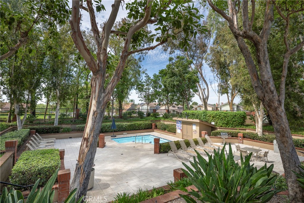 19 Ninos Irvine, CA 92620 - Photo 60 of 65 a view of a yard with plants and a large tree