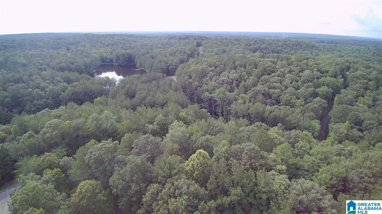 63 Mikes Road Brierfield, AL 35035 - Photo 49 of 50