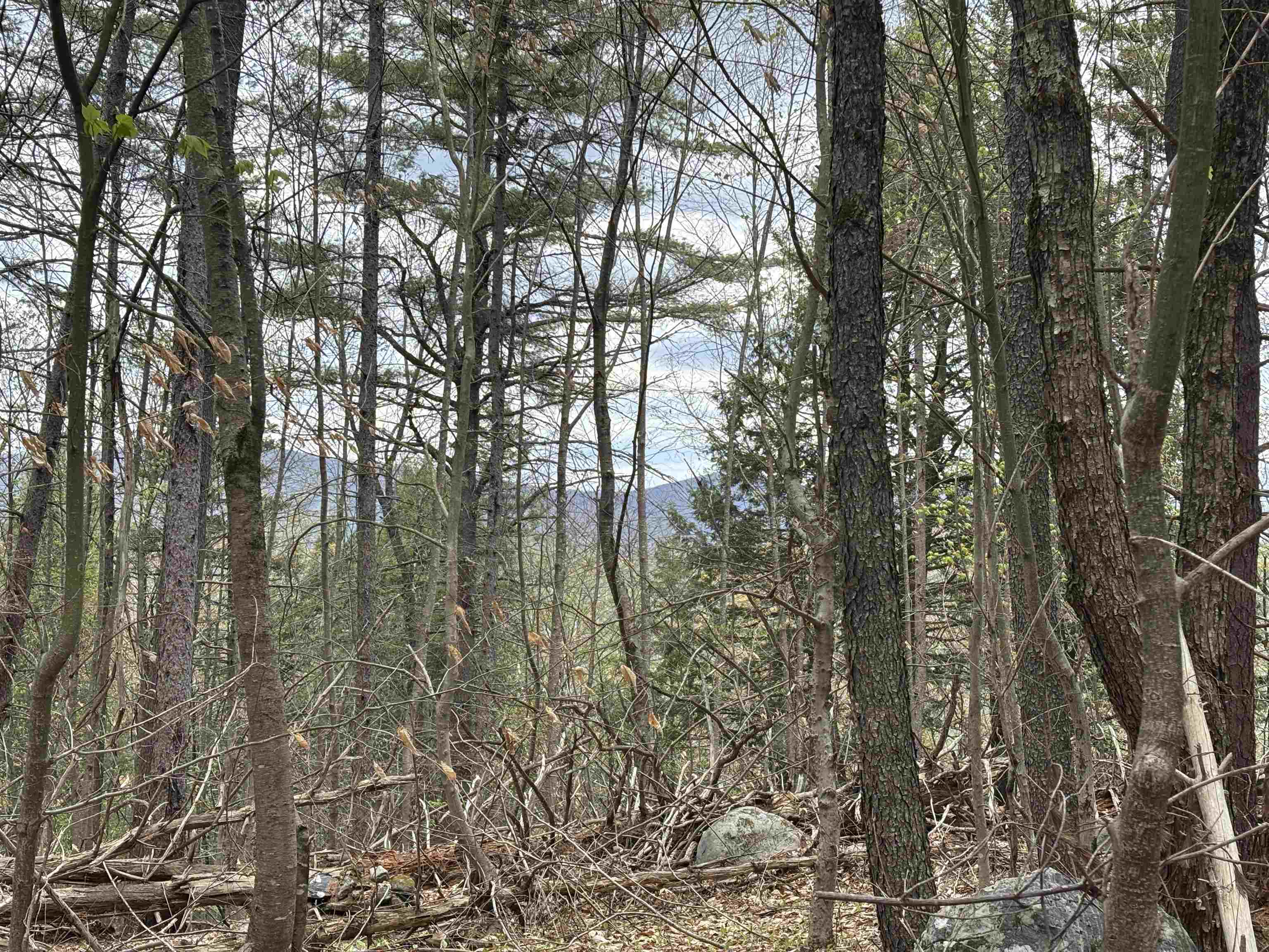 0 Snell Road Chester, VT 05143 - Photo 4 of 14