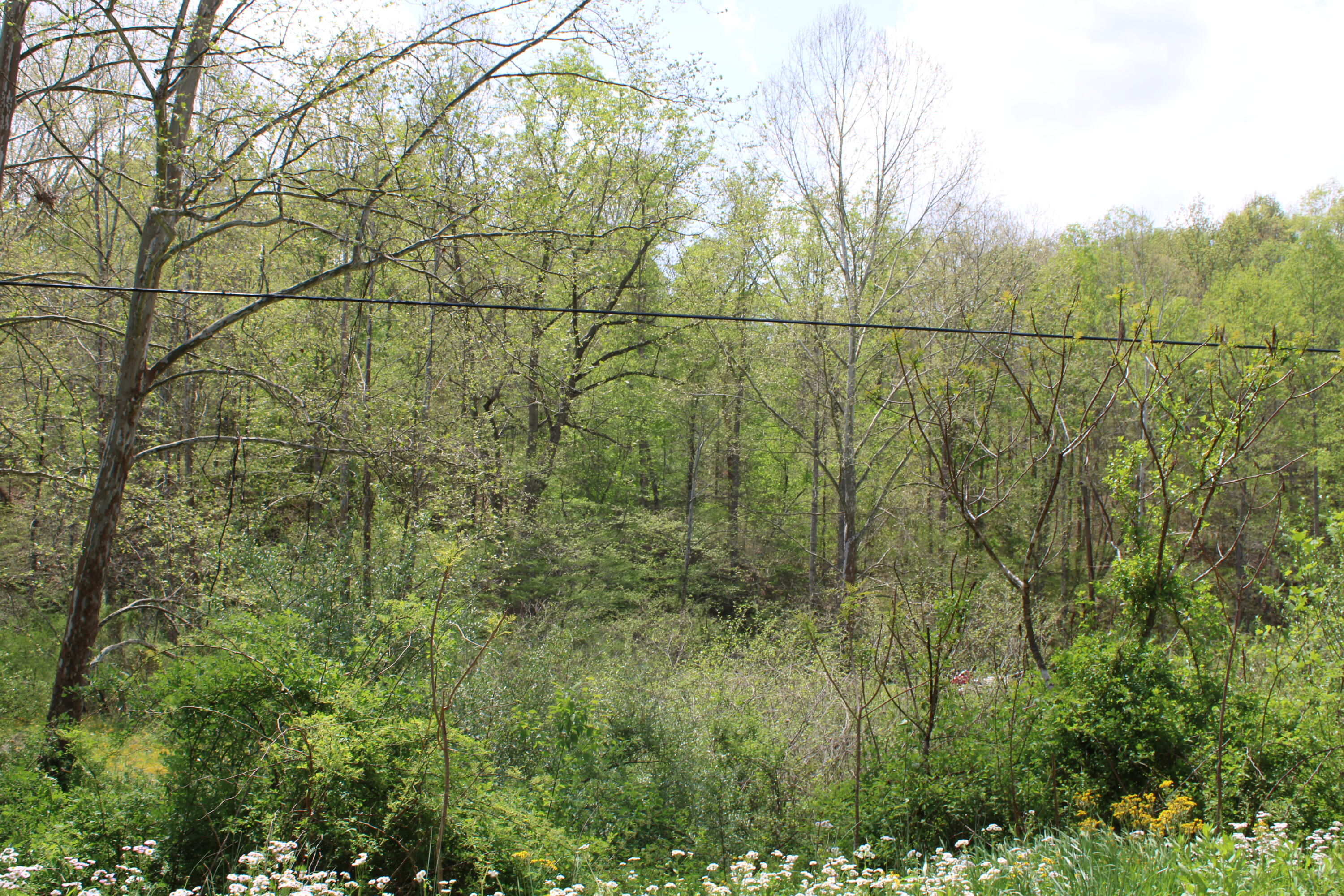 9999 Upper Rader Road Manchester, KY 40962 - Photo 2 of 37 IMG_0795