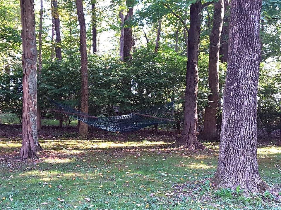 9252 Co Road Somerset, OH 43783 - Photo 37 of 50